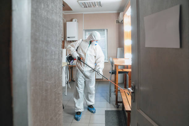 Best Industrial Mold Remediation  in West Freehold, NJ