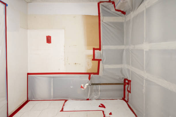 Best Comprehensive Air Testing for Mold Contaminants  in West Freehold, NJ