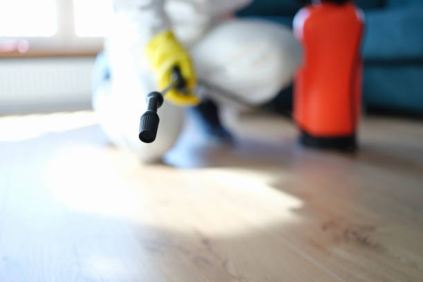 Mold Documentation for Insurance Claims in West Freehold, NJ