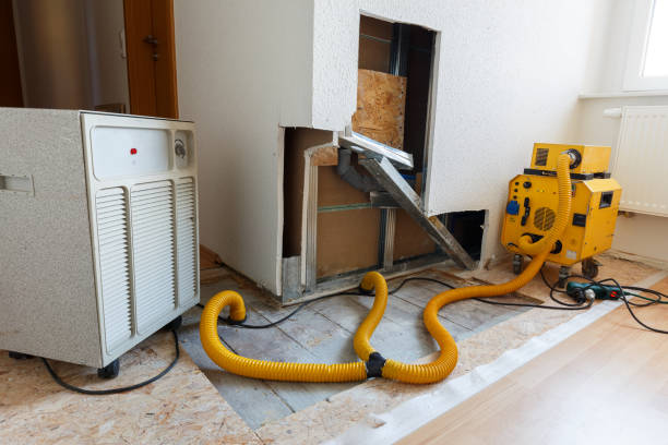 Mold Documentation for Insurance Claims in West Freehold, NJ