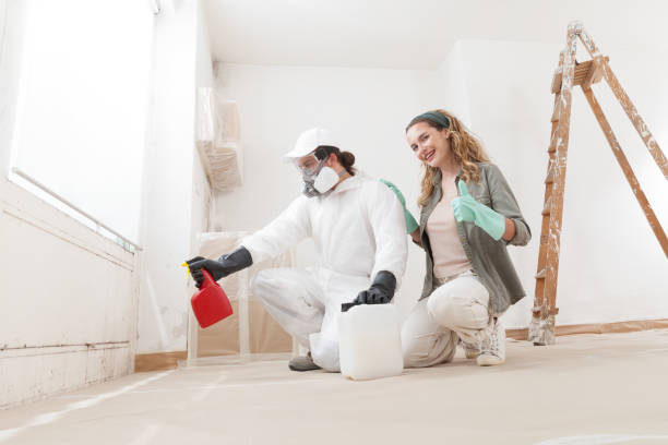 Best Post-Remediation Verification Testing  in West Freehold, NJ
